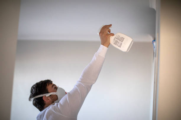 Best Black Mold Removal  in Texarkana, TX