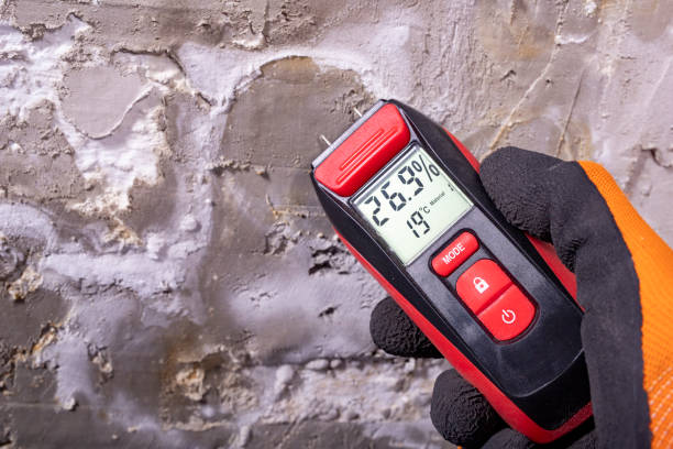 Best Attic Mold Removal  in Texarkana, TX